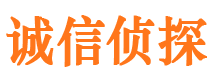 环翠市调查公司